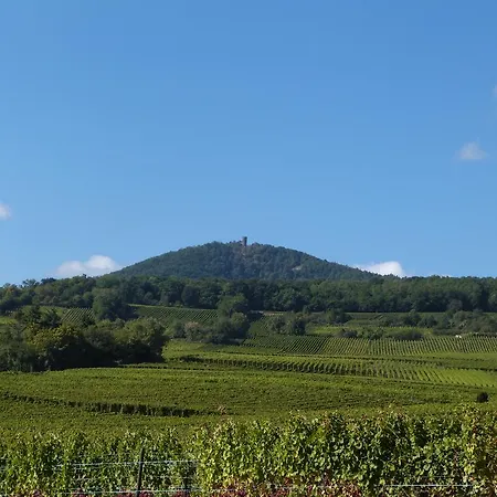 アパート Locations Du Massif